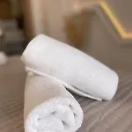 Pulse Designed Hotel *