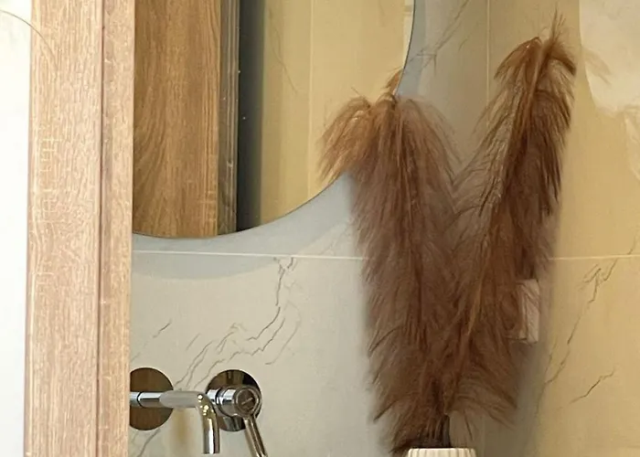 Pulse Designed فندق